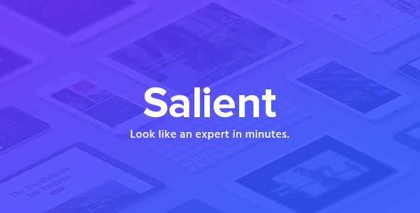 Salient - Responsive Multi-Purpose Theme - Portfolio Creative